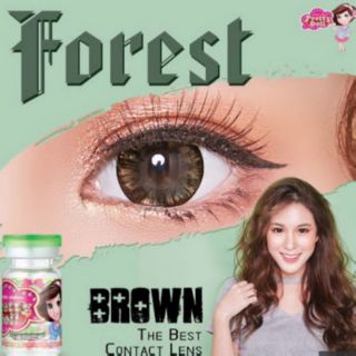 บิ๊กอาย Forest / Indy / Indy 3tone/ Vivetta eff.18