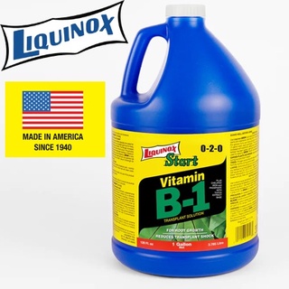 B1 เร่งราก Liquinox Start (USA) นำเข้าจากอเมริกา ยาเร่งราก บี1 ฟื้นฟูต้นไม้ เร่งรากแคคตัส 3.785 ลิตร (1 แกลลอน)