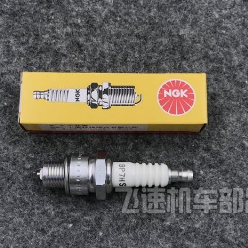 📢หัวเทียนNGK_ตรงรุ่น#Dio#Zx#Julio#Giorno ราคาถูก Shopee Lazada