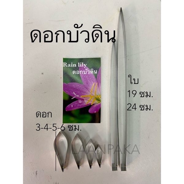 พิมพ์ตัดดอกบัวดิน, พิมพ์บัวดิน