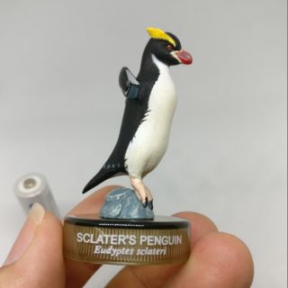 Sclaters Penguin by kaiyodo