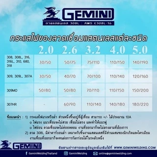 GEMINI 308 ลวดเชื่อมสแตนเลส เจมินี่ 308-16 2.0 / 2.6 / 3.2 แบ่งขายเป็นเส้น