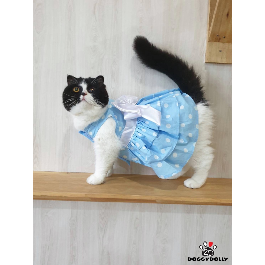 Pet clothes -Doggydolly เสื้อผ้าแฟชั่น เสื้อผ้าสัตว์เลี้ยง เสื้อผ้าหมาแมว ชุดกระโปรง ลายจุด Polka dot D648