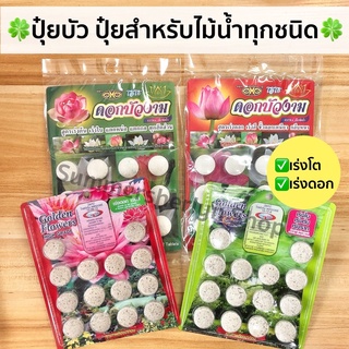 พร้อมส่ง🍀ปุ๋ยบัว ปุ๋ยสำหรับไม้น้ำ ปุ๋ยเม็ดเร่งการเจริญ เร่งดอก ตราโอ้โห/ golden flower