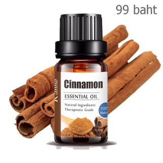 Aliztar 100% Cinnamon Essential oil 10 ml. น้ำมันหอมระเหยซินนาม่อนแท้ น้ำมันหอมสกัดจากธรรมชาติ น้ำมันหอมอโรมา อโรมาออ...