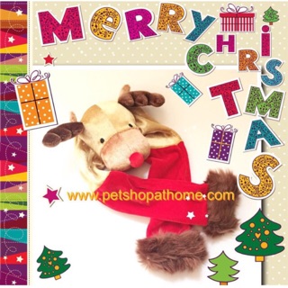ผ้าพันคอ Raindeer