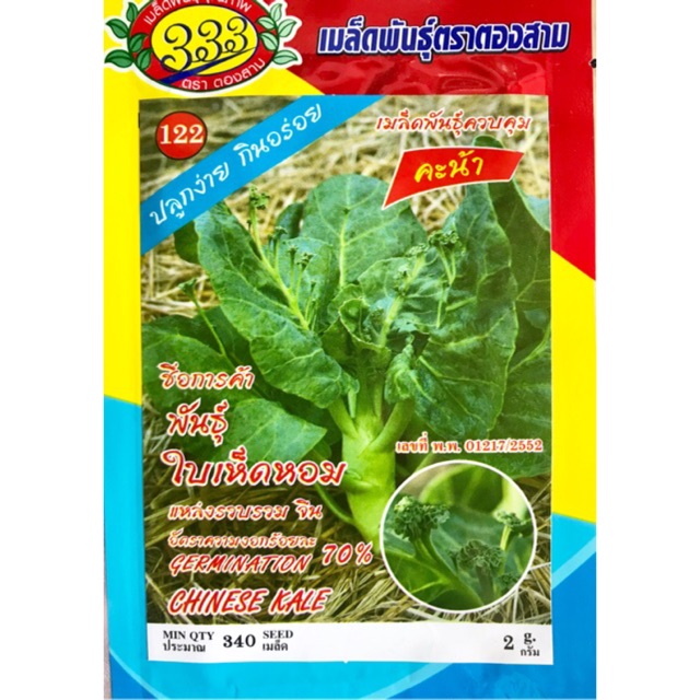 คะน้าเห็ดหอม ต้นใหญ่ 340 เมล็ด pro