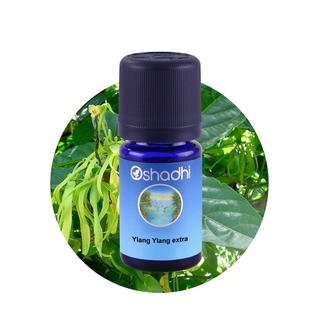 Oshadhi Ylang Ylang complete organic Essential Oil น้ำมันหอมระเหย (10 ml)