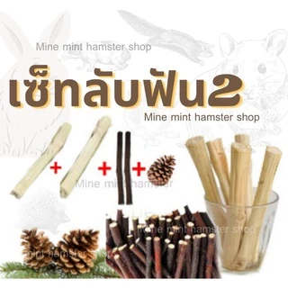 (MMPetShop)ลูกสน วอนัท ไผ่หวาน ไม้แอปเปิ้ล และ เซตลับฟัน ไว้ลับฟันหนูแฮมสเตอร์และสัตวและขนาดเล็กอื่นๆ