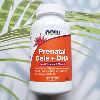 วิตามินเตรียมตัวตั้งครรภ์ Prenatal Gels + DHA 180 Softgels (Now Foods)