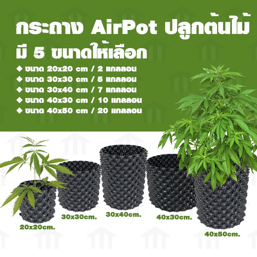 Megahouse กระถางปลูกต้นไม้ Air Pot ปลูกกันชา กระถางมีรู มี 5 ขนาดให้เลือก 2,5,7,10,20 แกลลอน