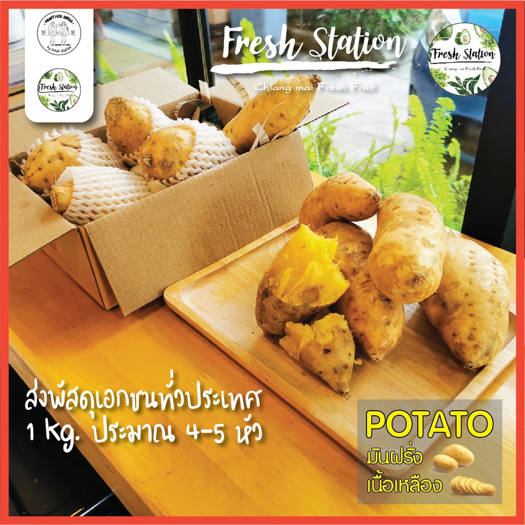 มันฝรั่ง เนื้อเหลือง Sweet Potato ราคาต่อ kg. มันฝรั่ง เนื้อเหลือง สดจากไร่ เชียงใหม่ ผลไม้ สุขภาพ