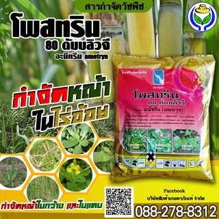 โพสทรินเกล็ด80WG1กิโลกรัม(อะมีทรีน)กำจัดหญ้าในไร่อ้อย (ชัยฟ้าเกษตรภัณฑ์)