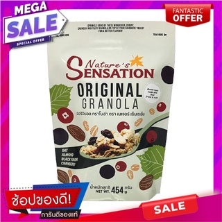 เนเจอร์ เซ็นเซชั่น ออริจินอล กราโนล่า 454 กรัม Natures Sensation Original Granola 454 g.