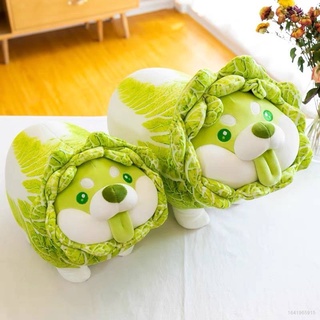 New Vegetable Fairy Anime Plush Toy Dog Plush Toys Creative Chinese Cabbage Shiba Inu Pillow Stuffed Animal Sofa Cushion