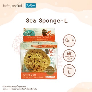 Punapena Sea Sponge Honeycomb ฟองน้ำธรรมชาติเด็ก ขนาด L