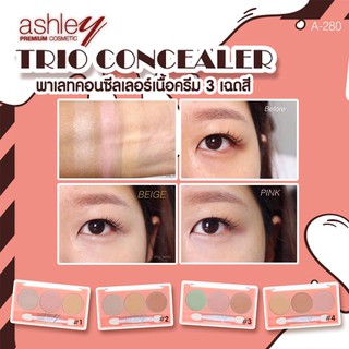 🌟 คอนซีลเลอร์ เนื้อครีม 3 เฉดสี แอชลีย์  ASHLEY TRIO CONCEALER A-280