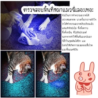 FurryCuddle พร้อมส่ง ไฟฉายแสง uv สำหรับตรวจเชื้อราในสัตว์เลี้ยง ยืนยันจุดที่เกิดเชื้อรา ไฟฉายเชื้อราแมว สิวเสี้ยน MIP77