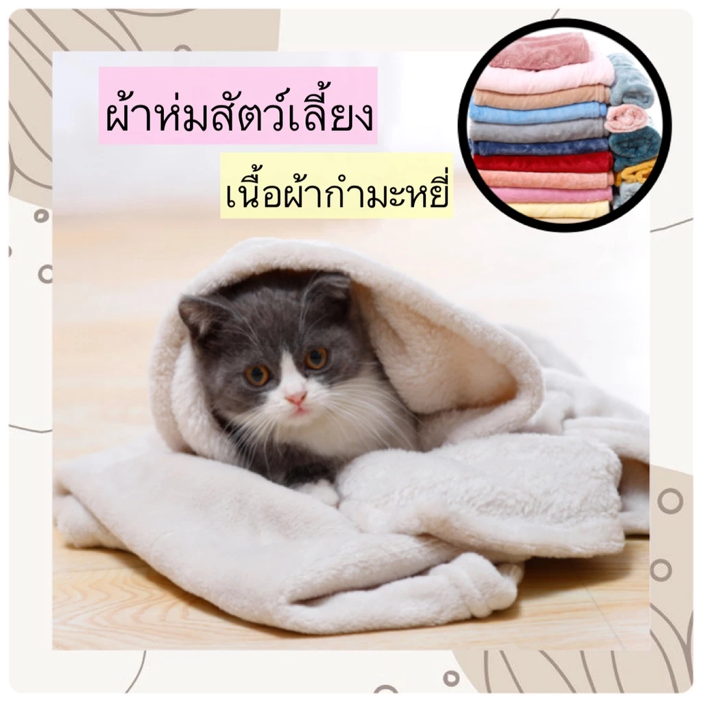 AL-314 ผ้าห่มกำมะหยี่ ผ้าห่มสัตว์เลี้ยง สุนัข ของใช้หมา ของใช้แมว มี2ขนาด คละสี พร้อมส่ง