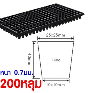 ถาดเพาะกล้า ถาดเพาะชำ เพาะเมล็ด ต้นกล้า ต้นอ่อน ไฮโดร 50, 72, 105, 200หลุม เมล็ด สลัด คอส ผักสวนครัว Outlet
