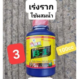 B1 วิตามิน บำรุงรากต้นไม้ ใข้ได้กับไม้ทุกชนิด