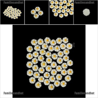 ดอกเดซี่เรซิ่น สีขาว DIY 50 ชิ้น