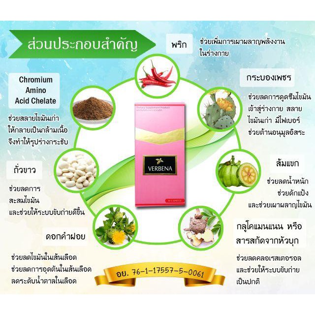 Verbena เวอบีน่า ผลิตภัณฑ์เสริมอาหาร - รูปที่ 6