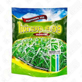 🌱 ซีดไลน์ 🇹🇭 ผักบุ้งใบไผ่คัดพิเศษ ไผ่ทอง 999 ขนาดบรรจุประมาณ 1 กิโลกรัม อายุเก็บเกี่ยว 20-25 วัน