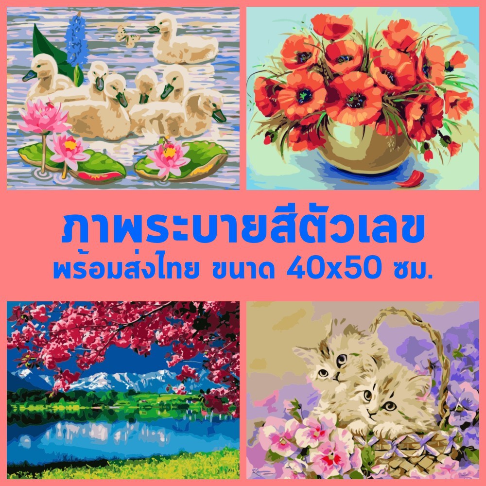 paint by numbers ระบายสีตามตัวเลข พร้อมส่งไทย งาน DIY ขนาด 40x50cm ภาพวาดสีอะคริลิค อุปกรณ์ครบชุด ไม