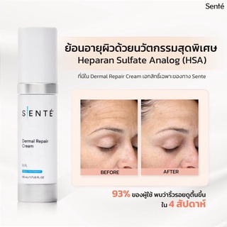 (ตัวแทนจำหน่าย แถมพรีเมี่ยมมาส์คฟรี) SENTE Dermal Repair Cream 30 ml ใช้ได้ทุกสภาพผิว