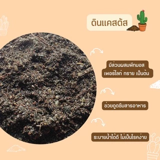 ดินแคคตัส ดินพร้อมปลูกไม้อวบน้ำ ดิน1 กก.