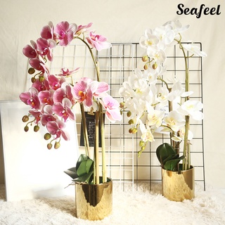 Seafeel กล้วยไม้ประดิษฐ์ เหมือนจริง สําหรับตกแต่งบ้าน ร้านค้า 1 ชิ้น