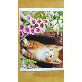 สติ๊กเกอร์กระดาษขาวด้าน กันน้ำ A4 (50 แผ่น) หนา 100 แกรม สำหรับ INKJET (MATT PAPER STICKER INKJET, รหัส DEEFA-SPMA4)