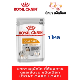 Coat Care / Royal Canin อาหารเปียก 1 โหล