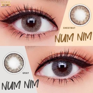 💫 Wink : Num nim  สายตาปกติ -3.00 ขนาด มินิ mini