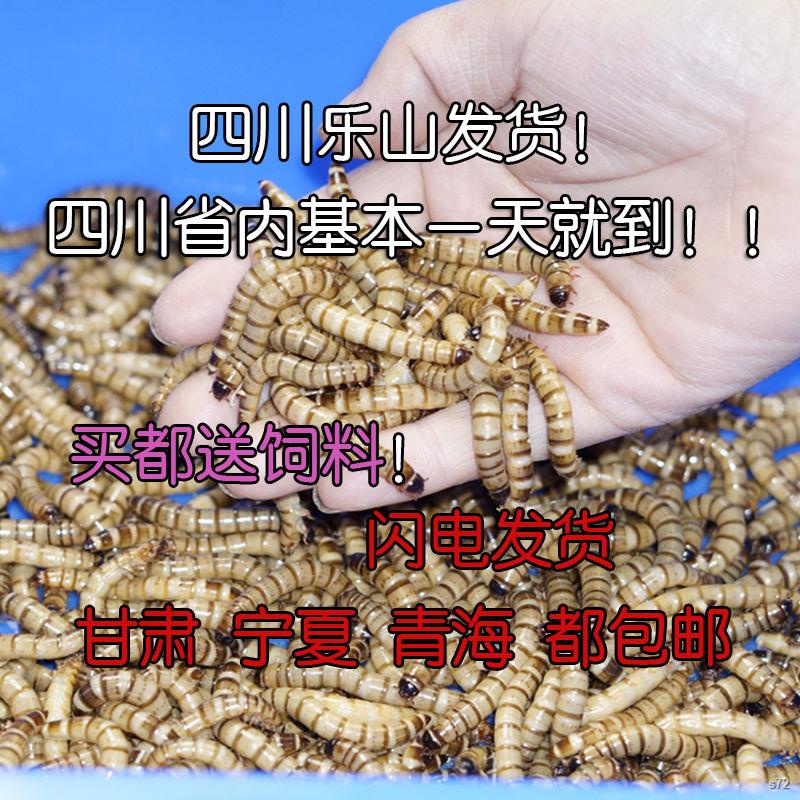 My Image 50