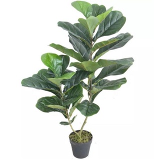 ฟรีจัดส่ง‼️ต้นไทรใบสัก (fiddle fig leaf) สูง 100 CM ต้นไม้ประดิษฐ์​ ต้นไทรราคาถูก ต้นไม้ปลอม