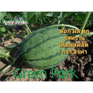 มูลค้างคาวแท้ 100% ขนาด 1 กิโลกรัม เร่งดอก แตกตา ผลดก รสหวาน เพิ่มผลผลิต ดินร่วนซุย ต้านทานโรค