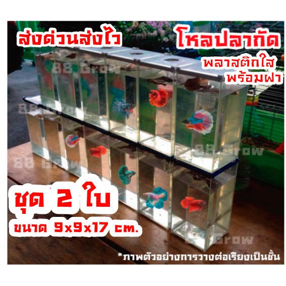 My Image 13