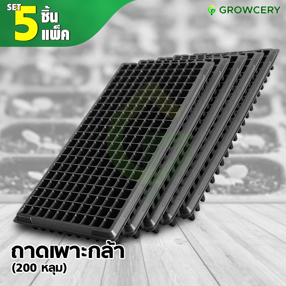 [G.] (Set 5 ใบ/แพ็ค) ถาดเพาะกล้า ถาดหลุม ถาดเพาะ ถาดเพาะต้นอ่อน เพาะเมล็ด  จำนวน 200 หลุม (หนา 1 มม.) โดย GROWCERY