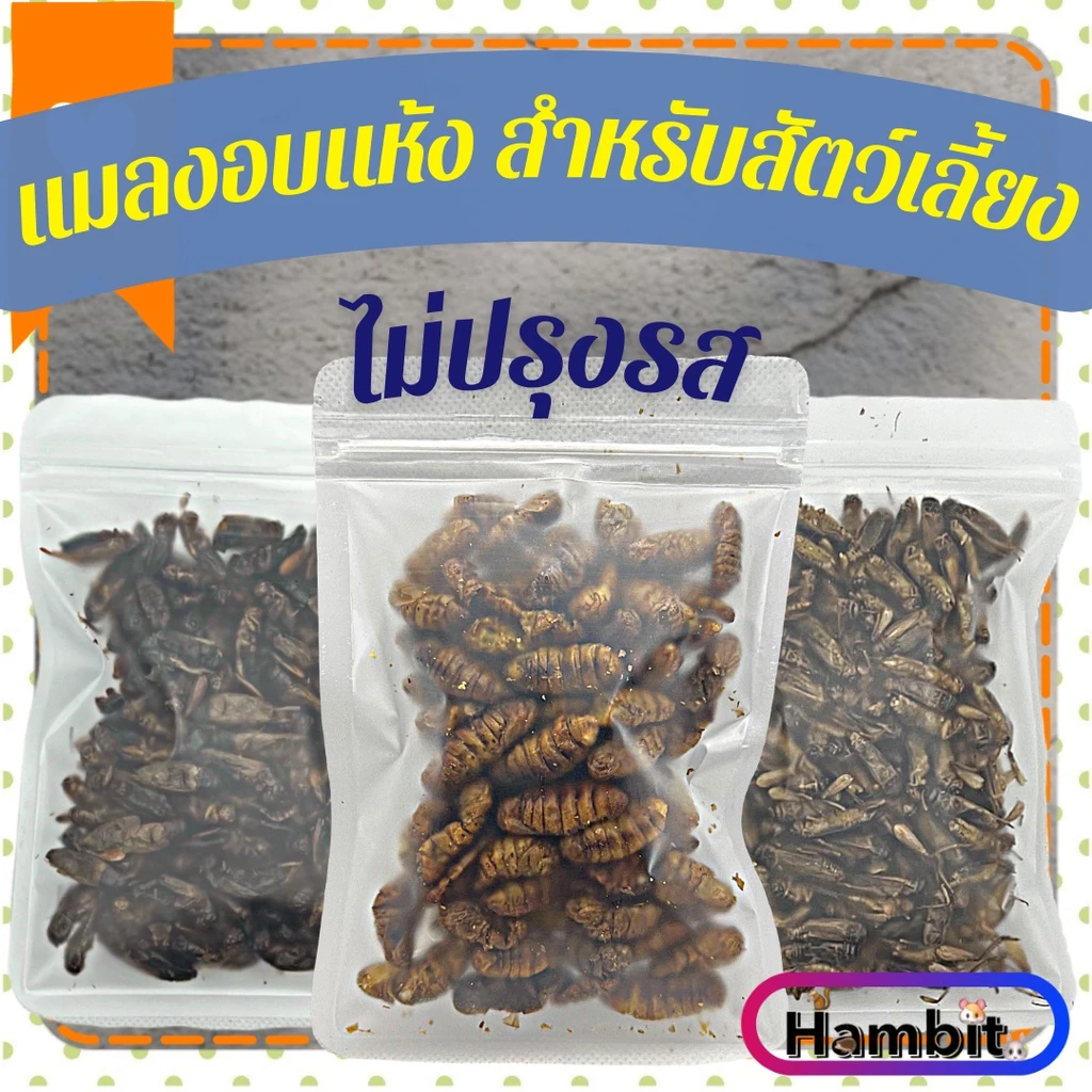 Hambit. หนอนไหมอบแห้ง จิ้งหรีดอบแห้ง สะดิ้งอบแห้ง ไม่ใส่เกลือ สำหรับสัตว์เลี้ยง