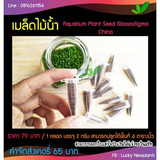 เมล็ดไม้น้ำ Aquarium Plant Seed บรรจุ 2 กรัม