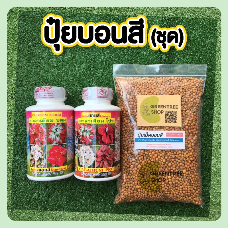ปุ๋ย ปุ๋ยบอนสี ปุ๋ยบอน ปุ๋ยน้ำ ปุ๋ยน้ำคาลาเดียม
