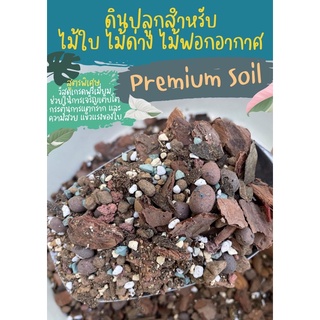 ดินปลูกไม้ด่าง (Premium Soil) ดินปลูก สำหรับ ไม้ใบ ไม้ด่าง ไม้ฟอกอากาศ พรีเมี่ยมเกรด