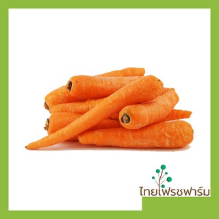 ราคาแครอท สด ๆ แครอทนำเข้าคุณภาพดี (Carrot)