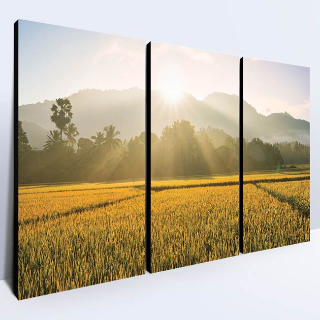 รูปภาพติดผนัง ภาพกรอบลอย ภาพทุ่งนา ของตกแต่งห้องนอน ของตกแต่งบ้าน ของตกแต่งห้องนั่งเล่น ภาพแต่งบ้าน คอนโด