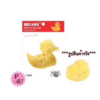 Becare Natural Sponge ฟองน้ำอนามัย ฟองน้ำแท้จากธรรมชาติ ลูกเจี๊ยบ 1ชิ้น/1ซอง