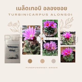 เมล็ดกระบองเพชร เมล็ดแคคตัส เมล็ด Turbinicarpus alonsoi 10 เมล็ด