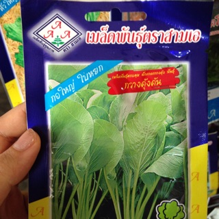 🌱เมล็ดพันธุ์ ผักกวางตุ้ง🌱 ตราสามเอ