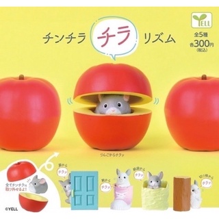 🅟🅕 กาชาปองชินชิลล่ากับอิริยาบถน่ารักสดใส 🚪🥾🥡🍎Chinchilla Chiralism mascot gashapon